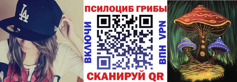 Галлюциногенные грибы Psilocybine cubensis  Орлов 